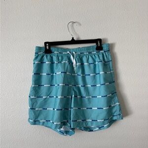 Teal Striped Swim Shorts